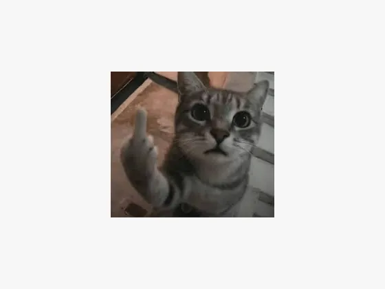 Gesture meme